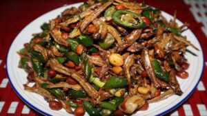 Teri Cabe Ijo